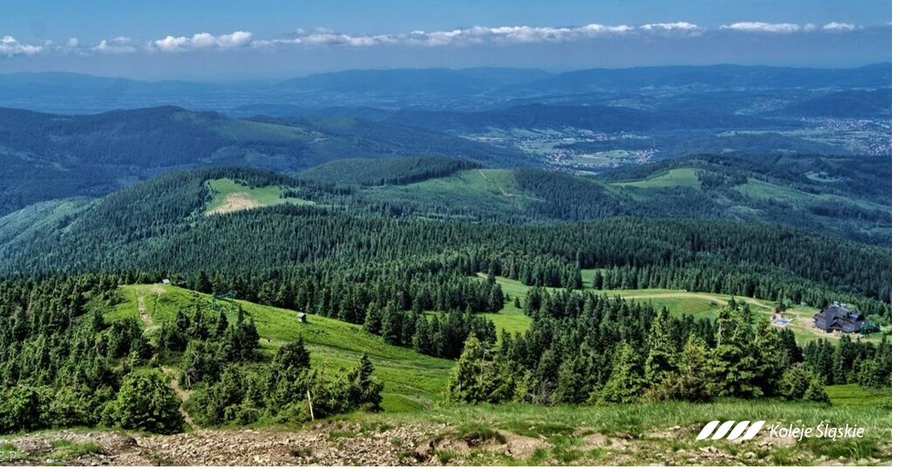Widok na budynek