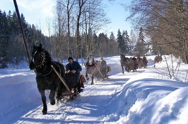 Organizacja kuligów